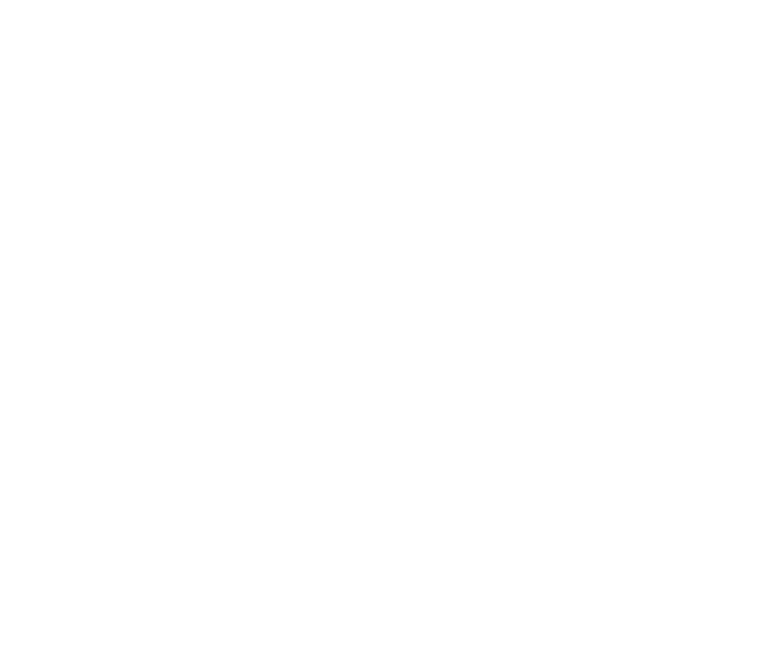 logo white